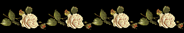 [rosrad[4].gif]