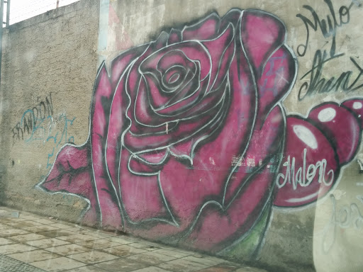 Mural De La Rosa