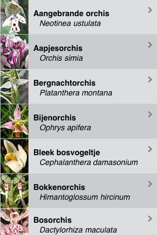 【免費書籍App】Orchideeën van Nederland-APP點子