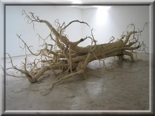 [rrrs cordas[3].jpg]