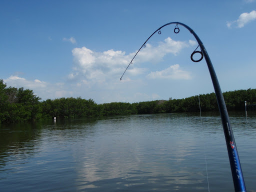 Kayak Fishing In Weedon Islands