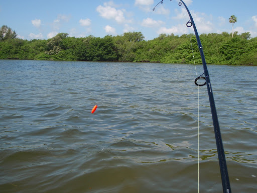 Catfish On!