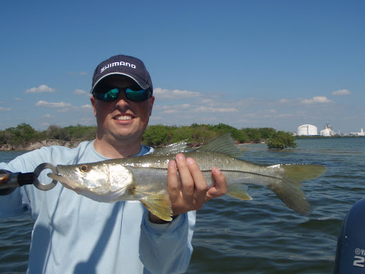 Snook