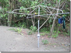 CAPE HILLSBOROUGH 040