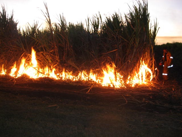 [CANE0122.jpg]
