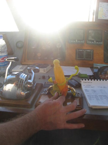 [VOYAGER0892.jpg]