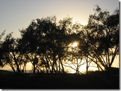 CASSADY BEACH 005