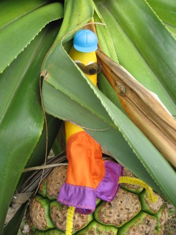 [CASSADYBEACH0422.jpg]