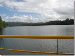 DAINTREE 009