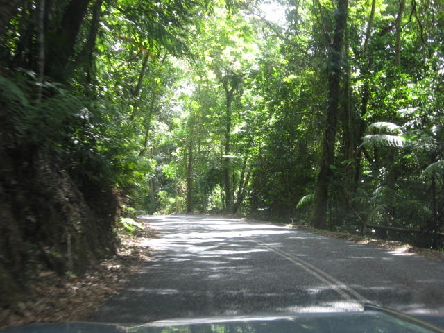 [DAINTREE0232.jpg]