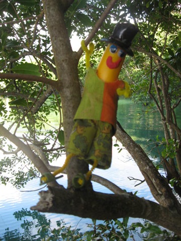 [DAINTREE0422.jpg]