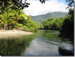 DAINTREE 035