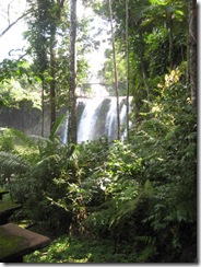 PARONELLA PARK 021