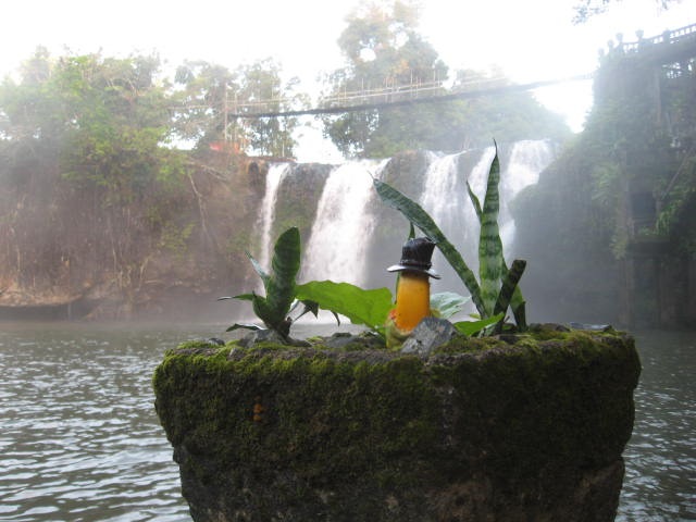 [PARONELLAPARK0542.jpg]