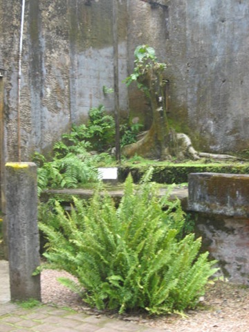 [PARONELLAPARK0142.jpg]