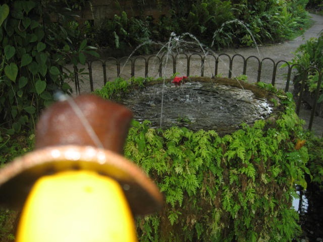 [PARONELLAPARK0722.jpg]