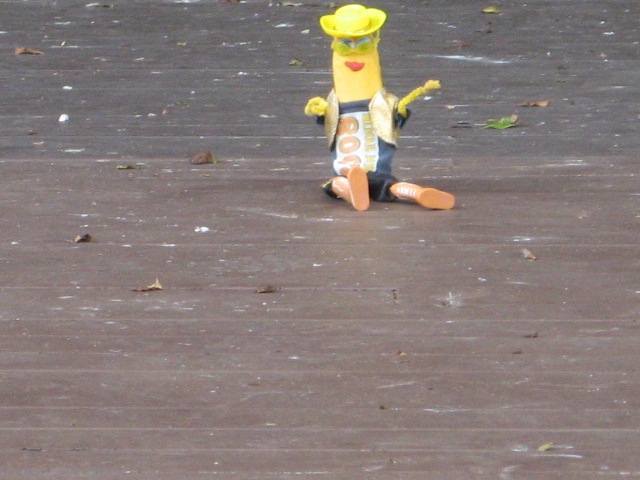 [WONGABEACH0192.jpg]