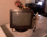 Vendo Monitor 15 Super Vga Modelo E54