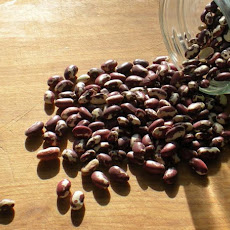 How to Make a Simple Pot of Anasazi Beans