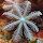 Global Coral Reef Monitoring