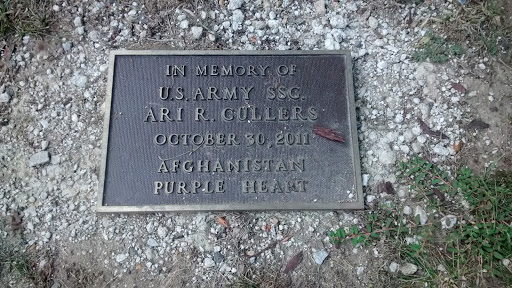 In Memory of Ari R. Cullers