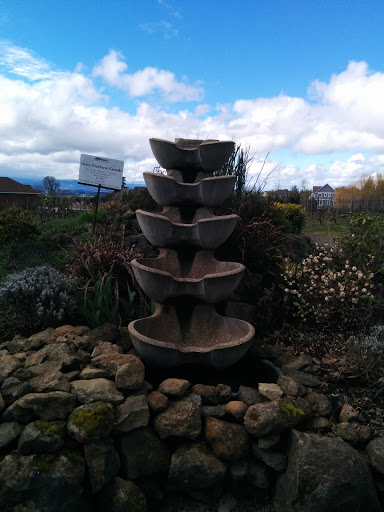 Cooper Mountain Vineyards Fountain