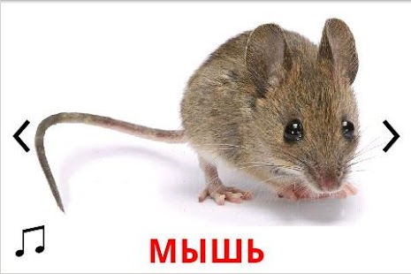 How to mod Карточки Домана Golden patch 12.62 apk for android