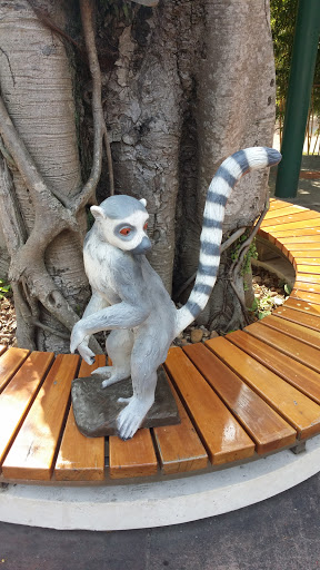 Ring Tail Lemur Statue at Sec Pai Wan