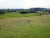 Campo A 20 Minutos De Punta