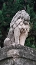 Lion De Castelnau