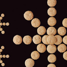 Gilded Sesame Cookies