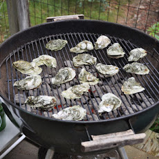 Grilled Oysters