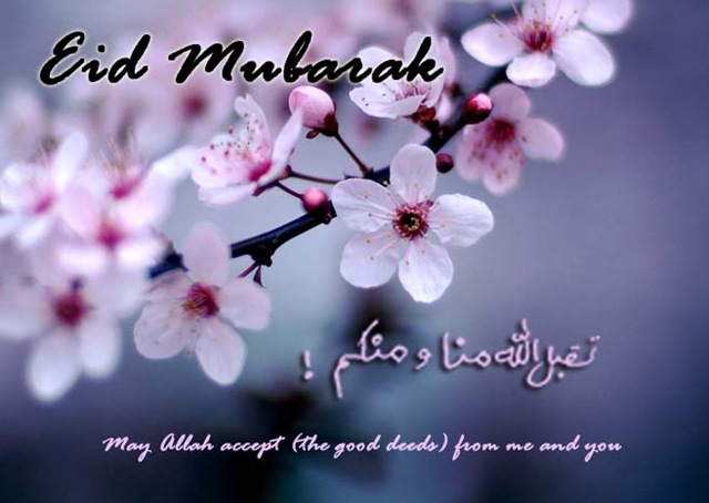 [eid[8].jpg]