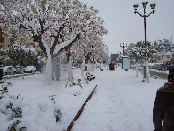 Photo%20111.jpg
