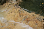 IMG_5391.JPG