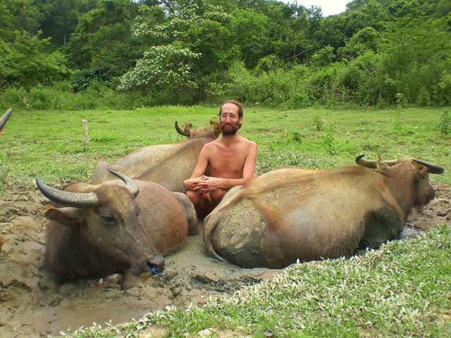 [095 buffalo lars[3].jpg]