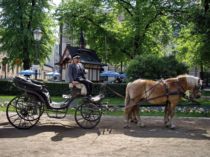 Horse cart