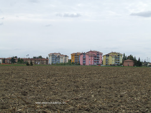 Corte Centese il 21/09/2008 Corte Centese il 21/09/2008