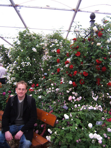 Ma fleur anglaise