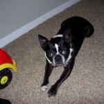 Bailey