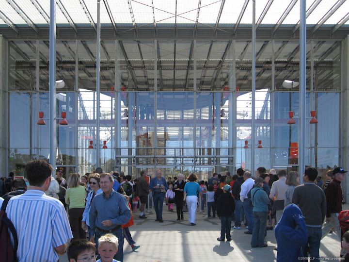 Entry lines/crowds