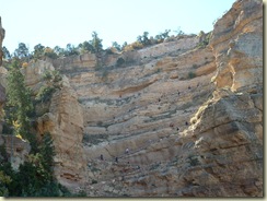 DSCF0334