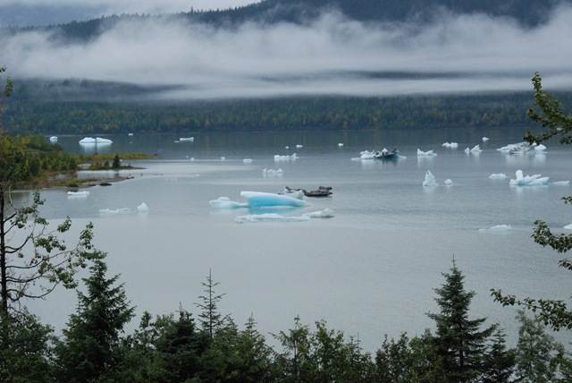 [Alaska 0908 193 Iceberg[2].jpg]