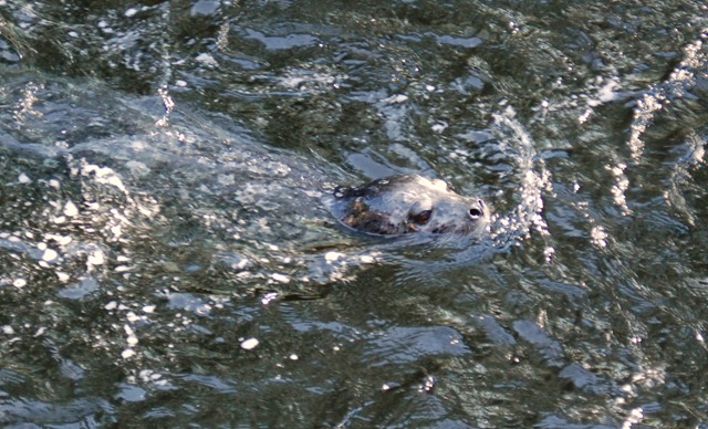 [Alaska 0908 025[2].jpg]