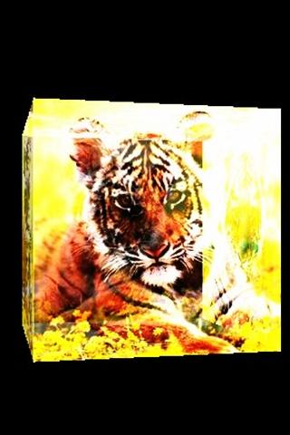 3D cute tiger