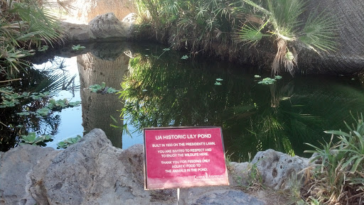 UA Historic Lily Pond 