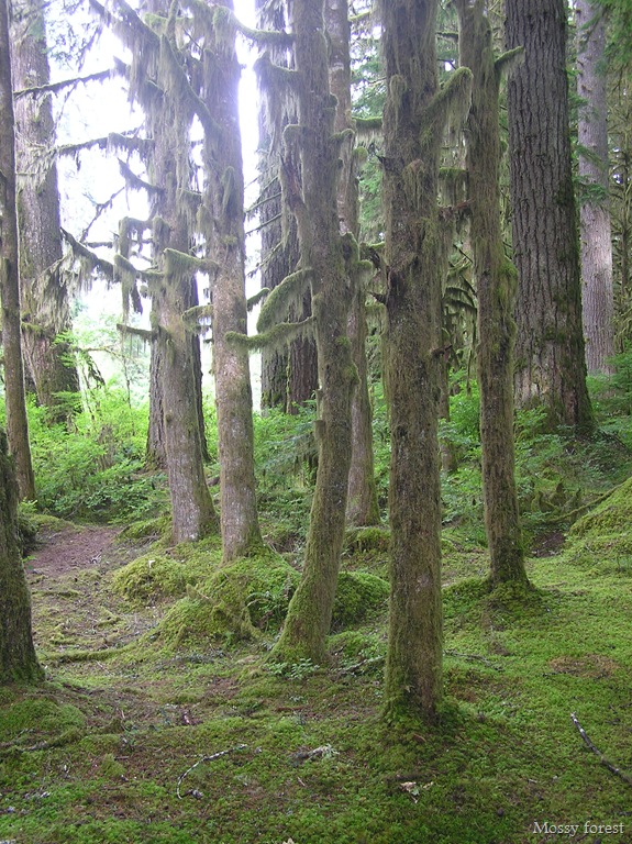 [P1010114[1].jpg]