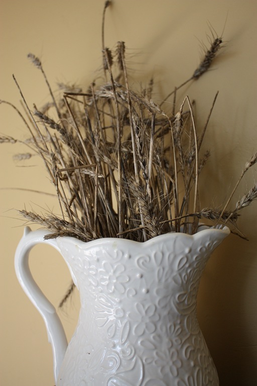 [DPP_0001228[1].jpg]