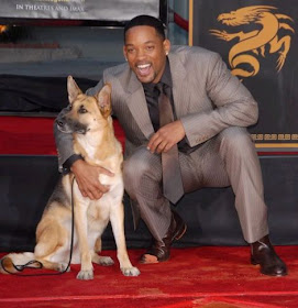 Will Smith cool short mens haircut