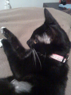 Lola